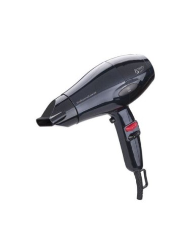 JATA SECADOR IONICO MOTOR AC 2,000W SC1013